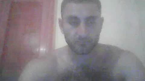 cocktribute online show from July 2026 09:10:02 PM