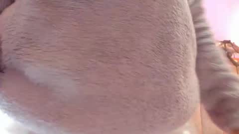 L O V E  online show from October 2025 11:56:02 AM