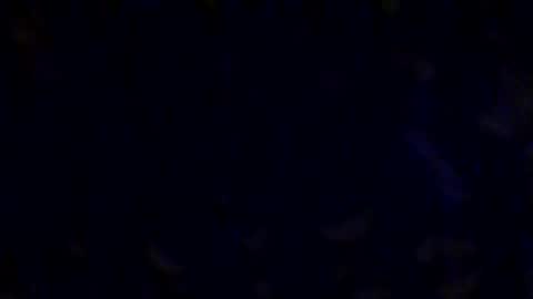 loveroot78 online show from May 2026 07:08:01 PM