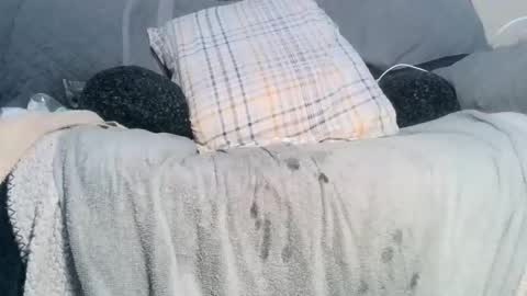 lovetobeused online show from February 2026 02:19:02 AM