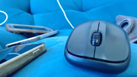 cutelucy 3 online show from January 2025 04:46:02 PM