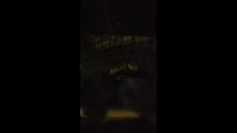 lspd359 online show from April 2026 01:22:02 AM