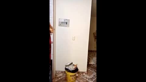 Snapshot of luana363 chatting on January 2026 04:50:02 AM luana363 online show from January 2026 04:50:02 AM