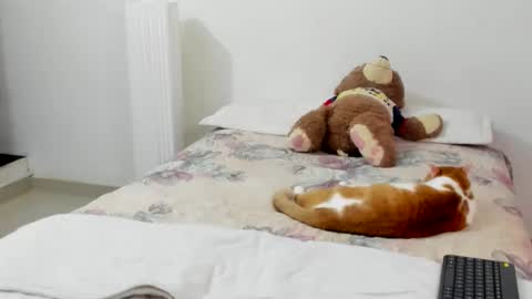 Snapshot of luara__01__lecat_1 chatting on February 2026 11:19:02 PM luara__01__lecat_1 online show from February 2026 11:19:02 PM