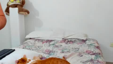 Snapshot of luara__01__lecat_1 chatting on February 2026 10:53:02 AM luara__01__lecat_1 online show from February 2026 10:53:02 AM