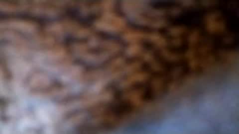 Snapshot of lubestroker4us chatting on February 2026 05:32:01 PM lubestroker4us online show from February 2026 05:32:01 PM