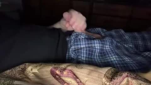 lubthemtitties online show from December 2024 08:52:02 AM