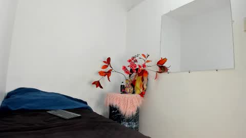 Snapshot of lucastorrez01 chatting on December 2025 02:29:02 AM LUCAS TORREZ online show from December 2025 02:29:02 AM