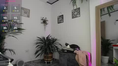 Snapshot of luciiana_lol chatting on February 2025 03:05:02 PM luciiana online show from February 2025 03:05:02 PM