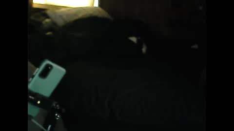 Snapshot of luckyblondecouple chatting on December 2024 02:28:01 PM LuckyBlondeCouple online show from December 2024 02:28:01 PM