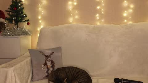 Snapshot of luckyday_ chatting on December 2024 06:52:01 PM Katerina online show from December 2024 06:52:01 PM