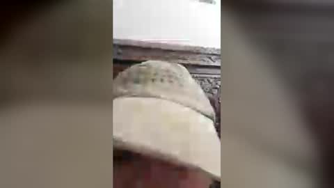 luckyfalcon2022 online show from June 2026 05:08:01 AM