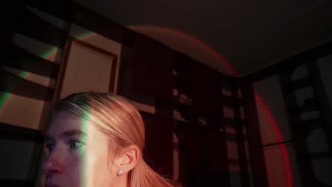 Snapshot of lucy_gooosey chatting on December 2024 04:01:02 AM Lucy. online show from December 2024 04:01:02 AM