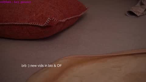 Snapshot of lucy_gooosey chatting on January 2025 06:27:02 AM Lucy. online show from January 2025 06:27:02 AM