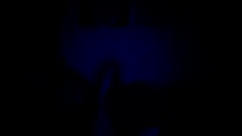 Snapshot of luffray chatting on February 2026 12:14:02 AM luffray online show from February 2026 12:14:02 AM