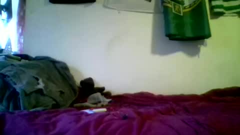 Snapshot of luffray chatting on February 2026 05:28:02 PM luffray online show from February 2026 05:28:02 PM