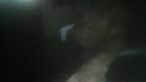 luizs23 online show from November 2025 05:07:02 AM