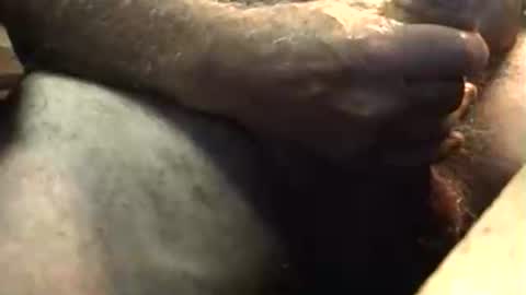 Snapshot of lukestarfckr chatting on October 2025 05:50:01 AM lukestarfckr online show from October 2025 05:50:01 AM