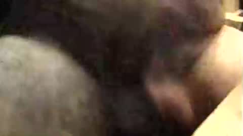 Snapshot of lukestarfckr chatting on October 2025 09:40:01 AM lukestarfckr online show from October 2025 09:40:01 AM