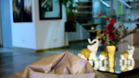 Snapshot of lukhass chatting on February 2025 05:30:01 AM Lukhas f4f online show from February 2025 05:30:01 AM