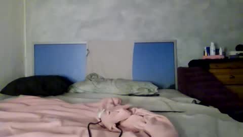 Snapshot of lumivex chatting on November 2025 01:09:02 AM lumivex online show from November 2025 01:09:02 AM