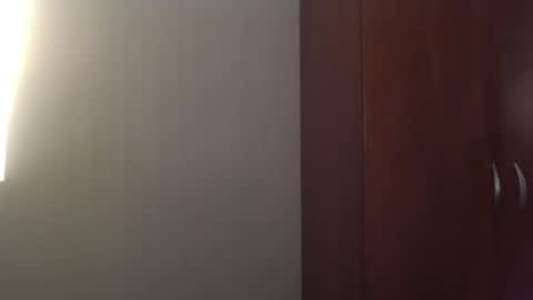 Snapshot of lunamivida chatting on March 2025 05:52:02 AM karazorel online show from March 2025 05:52:02 AM