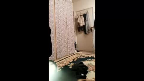 Snapshot of lunasivejev chatting on February 2026 09:30:02 AM lunasivejev online show from February 2026 09:30:02 AM