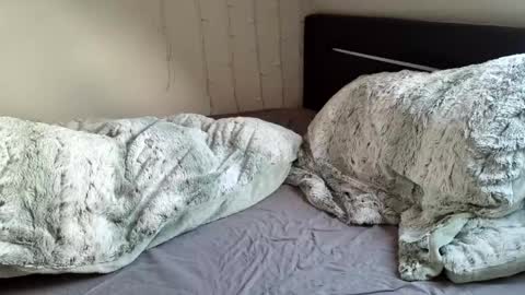 Luna  powered by bitch dust online show from December 2024 11:10:02 AM