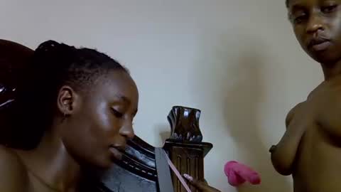 lutino_lovebirds online show from April 2026 08:25:02 PM