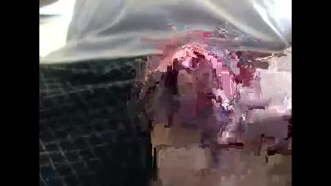 lutorres online show from September 2025 11:55:02 AM