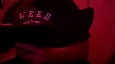 Snapshot of luv2toknstrok chatting on November 2025 10:49:02 AM Luv2tokNstrok online show from November 2025 10:49:02 AM