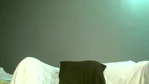 Bee Bee online show from May 2026 02:41:01 AM