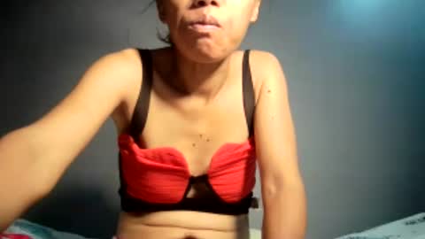 Bee Bee online show from July 2026 06:46:01 PM