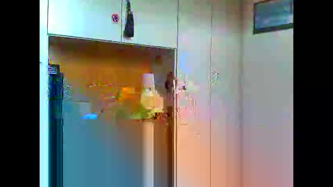 Snapshot of luxx72boy chatting on January 2025 09:47:01 AM luxx72boy online show from January 2025 09:47:01 AM