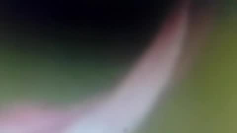 lydiasarch online show from April 2026 08:24:02 PM