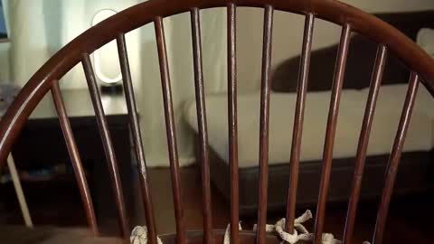 hi im Lyle online show from February 2025 06:18:02 AM