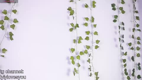 Lyly   online show from January 2026 05:45:01 AM