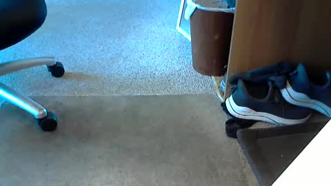 lynne_cd_nj online show from October 2025 08:26:01 PM