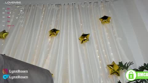 Snapshot of lynxrosen chatting on January 2025 12:13:01 AM Lynx Rosen online show from January 2025 12:13:01 AM