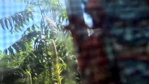 Snapshot of m444rk chatting on February 2026 08:38:02 PM SLoppYxXPeeHoLeXxGspotxX online show from February 2026 08:38:02 PM