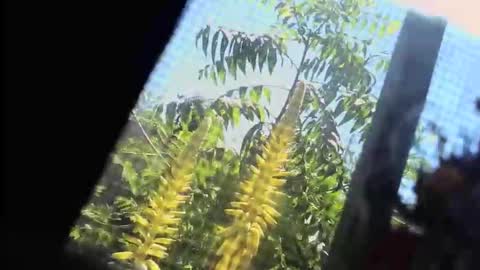 Snapshot of m444rk chatting on February 2026 07:34:01 PM SLoppYxXPeeHoLeXxGspotxX online show from February 2026 07:34:01 PM