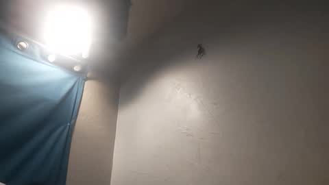 mac11thizzelw online show from March 2026 02:50:02 PM