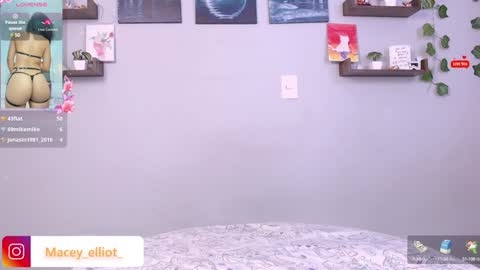 Snapshot of macey_hairy chatting on January 2025 08:11:01 PM Macey Elliot Modelo Independiente online show from January 2025 08:11:01 PM