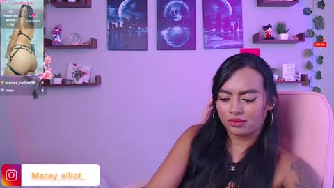 Snapshot of macey_hairy chatting on February 2025 03:31:01 PM Macey Elliot Modelo Independiente online show from February 2025 03:31:01 PM
