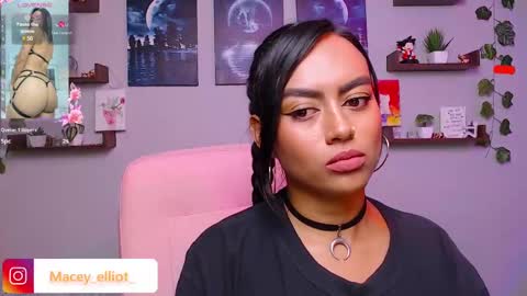 Snapshot of macey_hairy chatting on February 2025 05:40:01 PM Macey Elliot Modelo Independiente online show from February 2025 05:40:01 PM