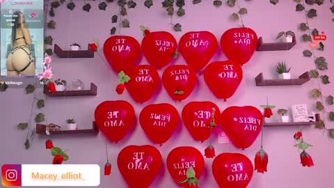 Snapshot of macey_hairy chatting on February 2025 02:55:02 PM Macey Elliot Modelo Independiente online show from February 2025 02:55:02 PM