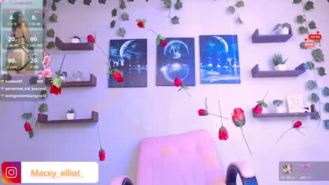 Snapshot of macey_hairy chatting on February 2025 07:16:01 PM Macey Elliot Modelo Independiente online show from February 2025 07:16:01 PM