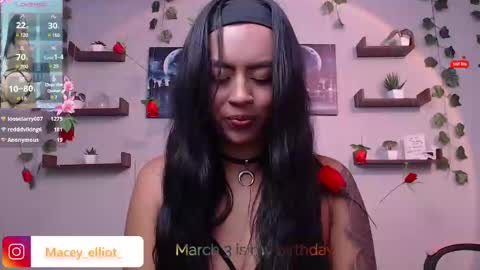 Snapshot of macey_hairy chatting on February 2025 06:31:01 PM Macey Elliot Modelo Independiente online show from February 2025 06:31:01 PM