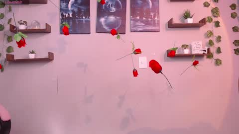 Snapshot of macey_hairy chatting on March 2025 02:02:02 PM Macey Elliot Modelo Independiente online show from March 2025 02:02:02 PM