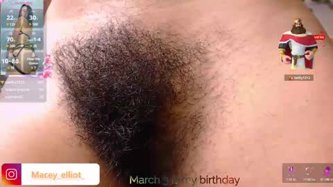 Snapshot of macey_hairy chatting on March 2025 11:42:01 PM Macey Elliot Modelo Independiente online show from March 2025 11:42:01 PM